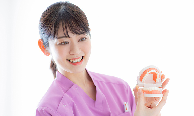 歯・歯茎に優しいメインテナンス歯石・バイオフィルム除去が可能